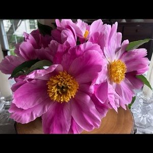 Meet your Posher, Cheryl